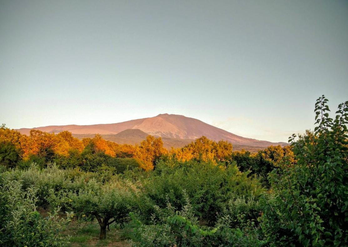 Mount Etna Chalet Maletto Екстериор снимка