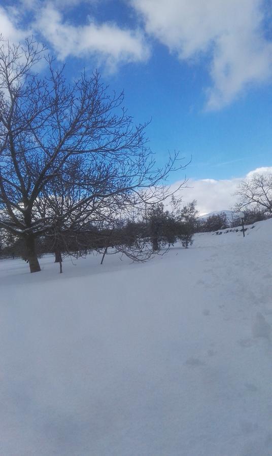 Mount Etna Chalet Maletto Екстериор снимка